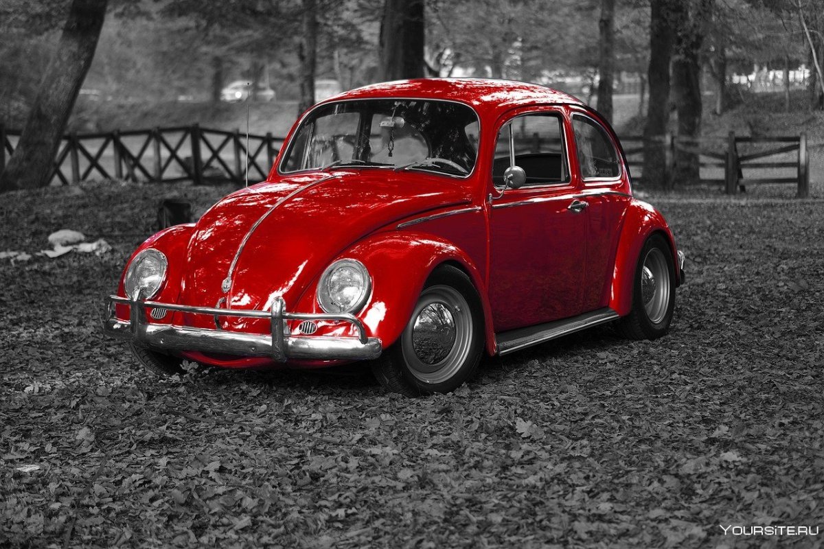 Volkswagen Жук