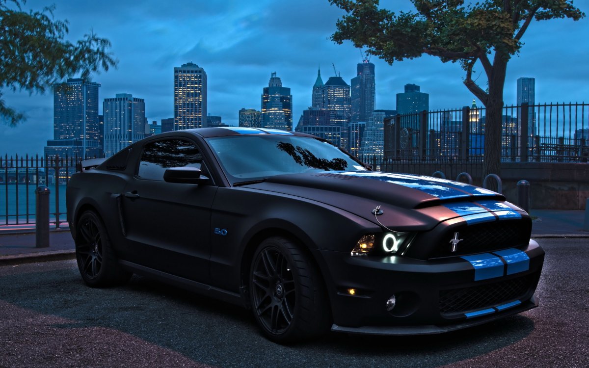 Форд Мустанг gt 500 черный