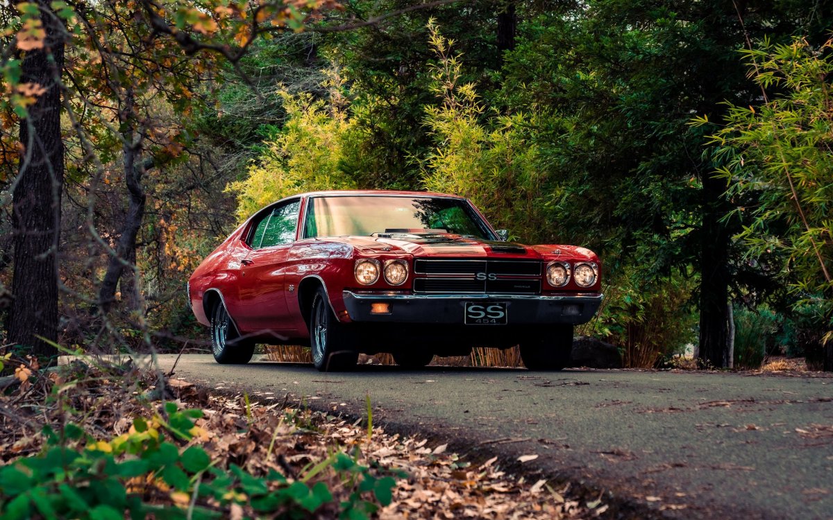 Chevrolet Chevelle 1968