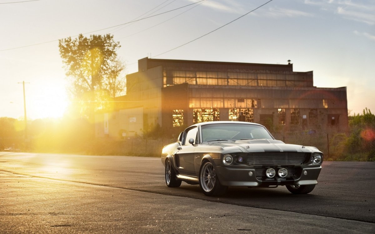 Mustang Shelby gt500 4к