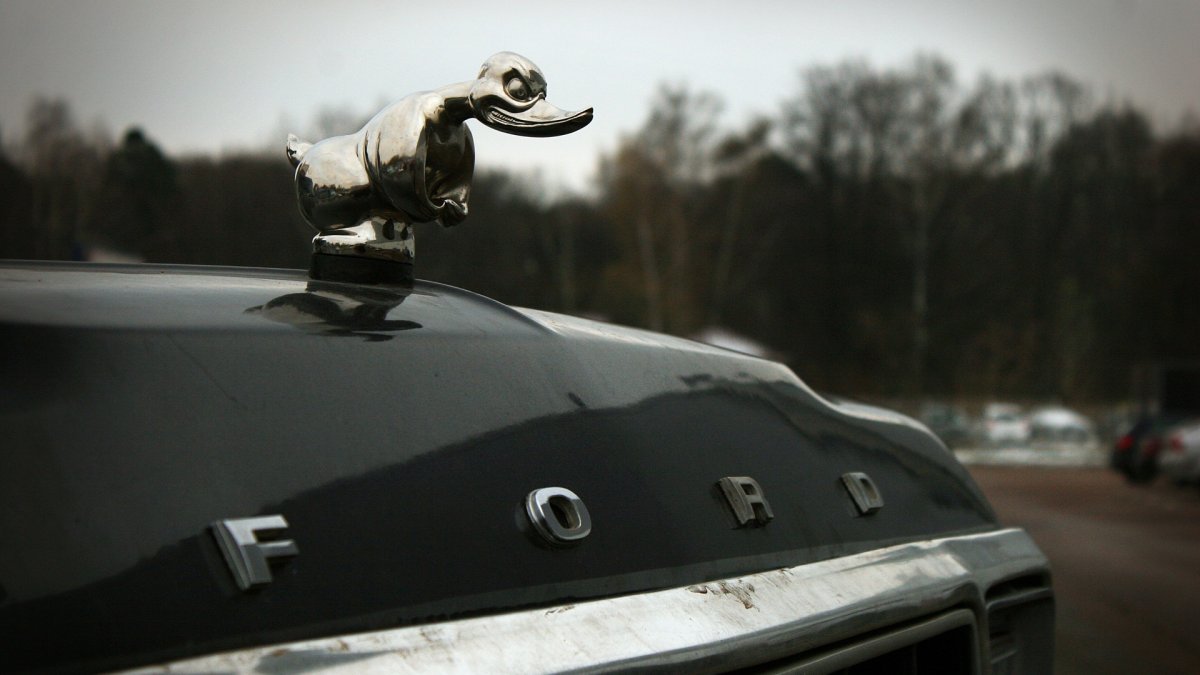 Death Proof Duck
