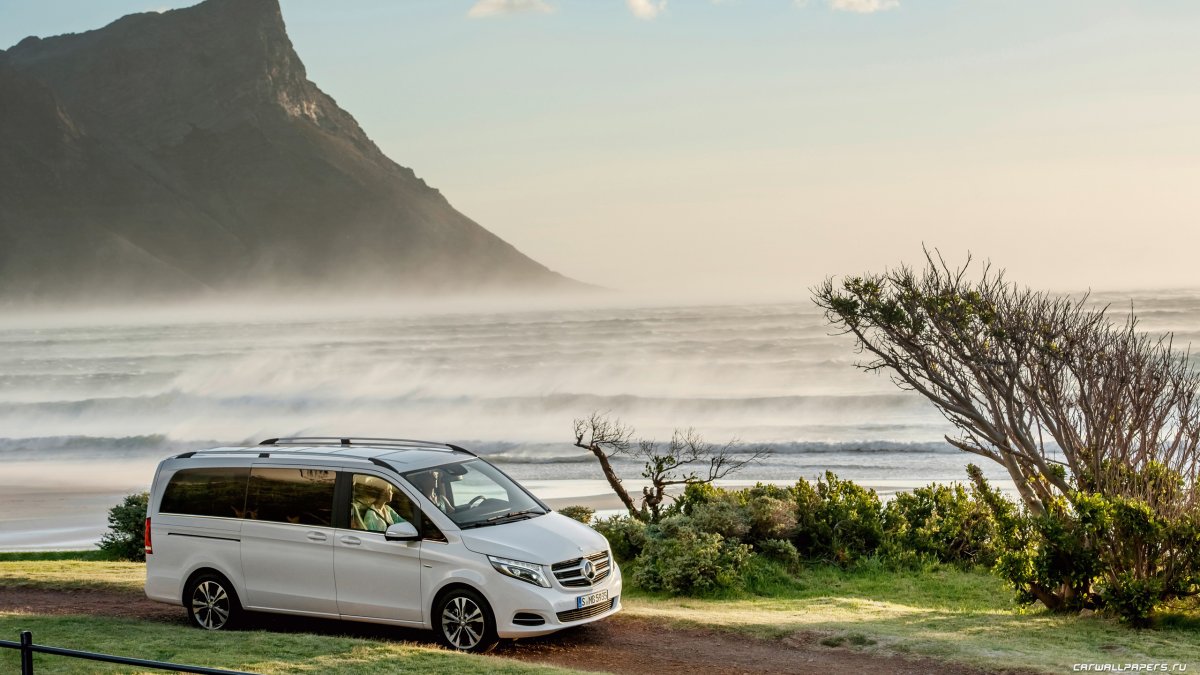 Mercedes-Benz v-class 220 d at l1