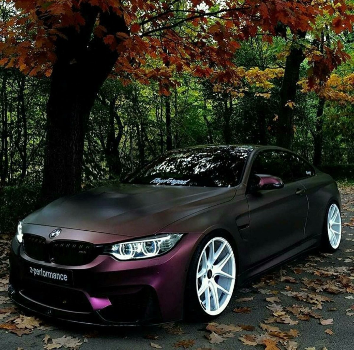 BMW f82 машина в лесу