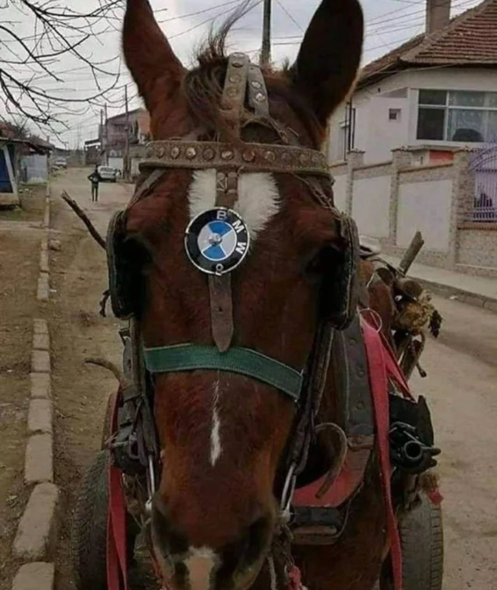 BMW лошадь