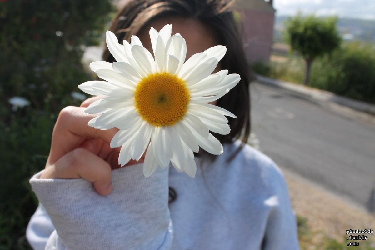 Ромашка с лицом