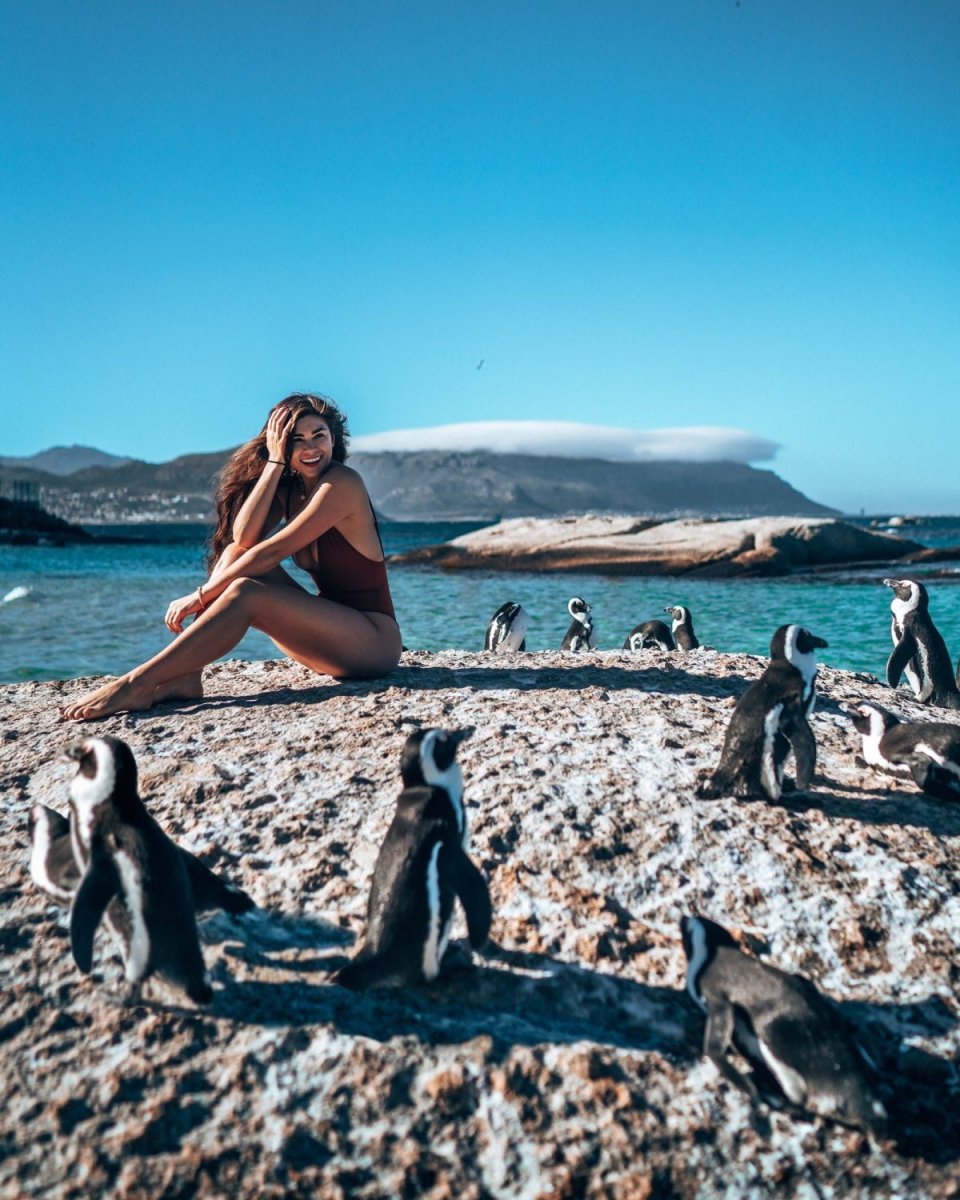 Cape Town пингвины