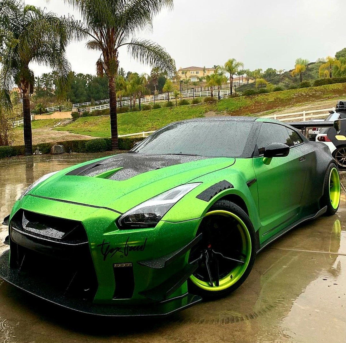 Nissan GTR guaczilla