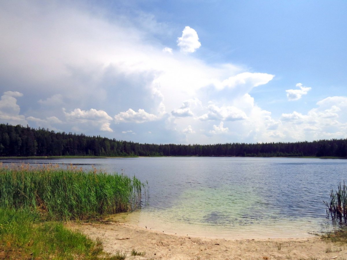 Озеро Широха Владимирская область