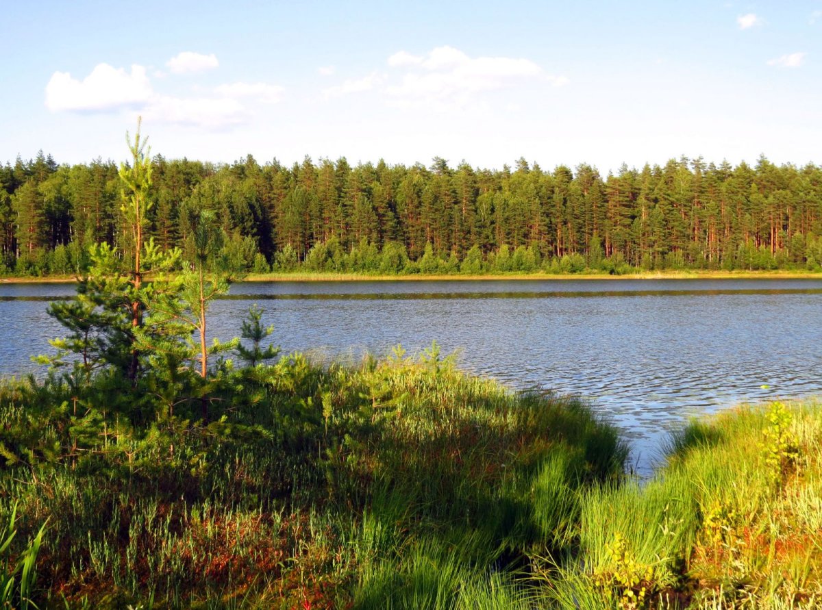 Озеро Широха Владимирская