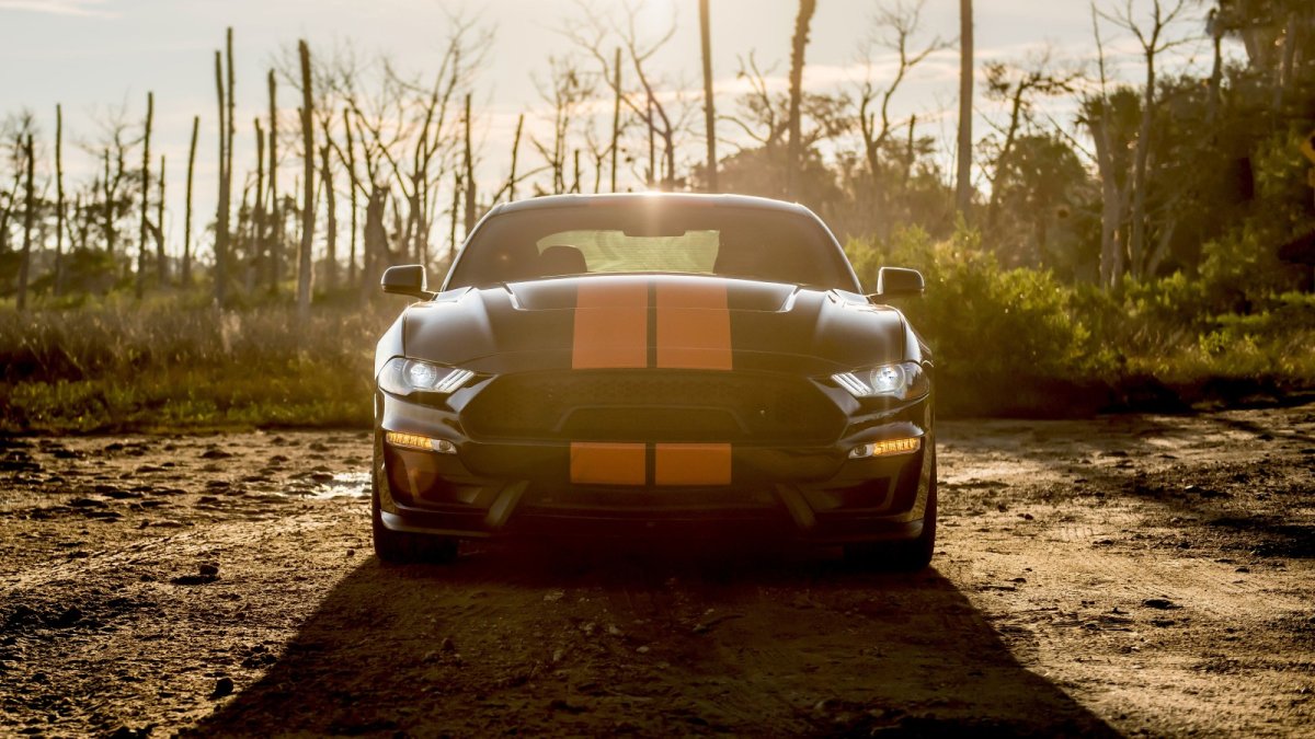 Shelby Mustang HD 4k 16х9