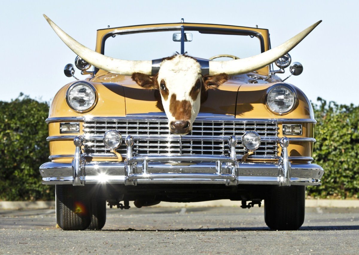 Рога на машину