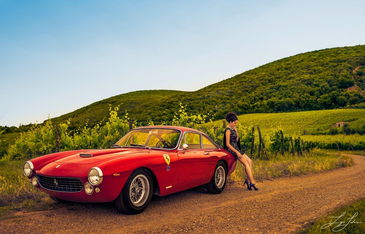 BMW 507 Roadster (1956-1959)