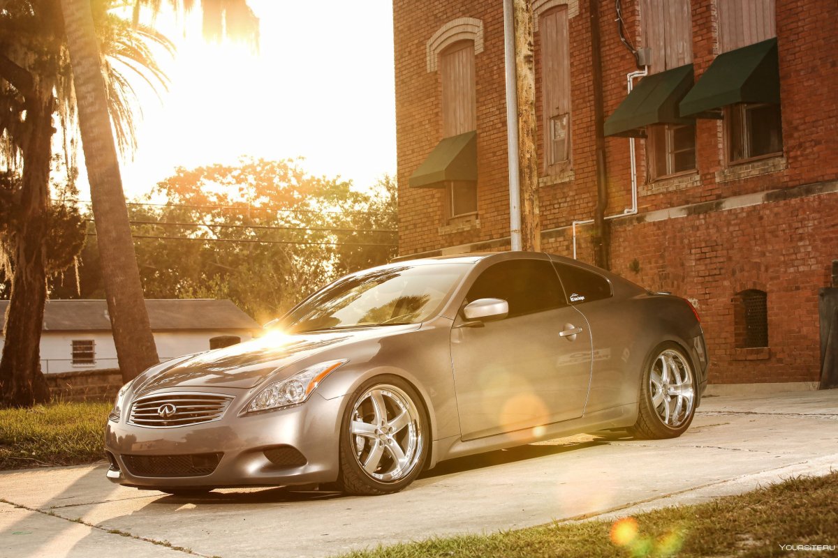 G37 золотистый