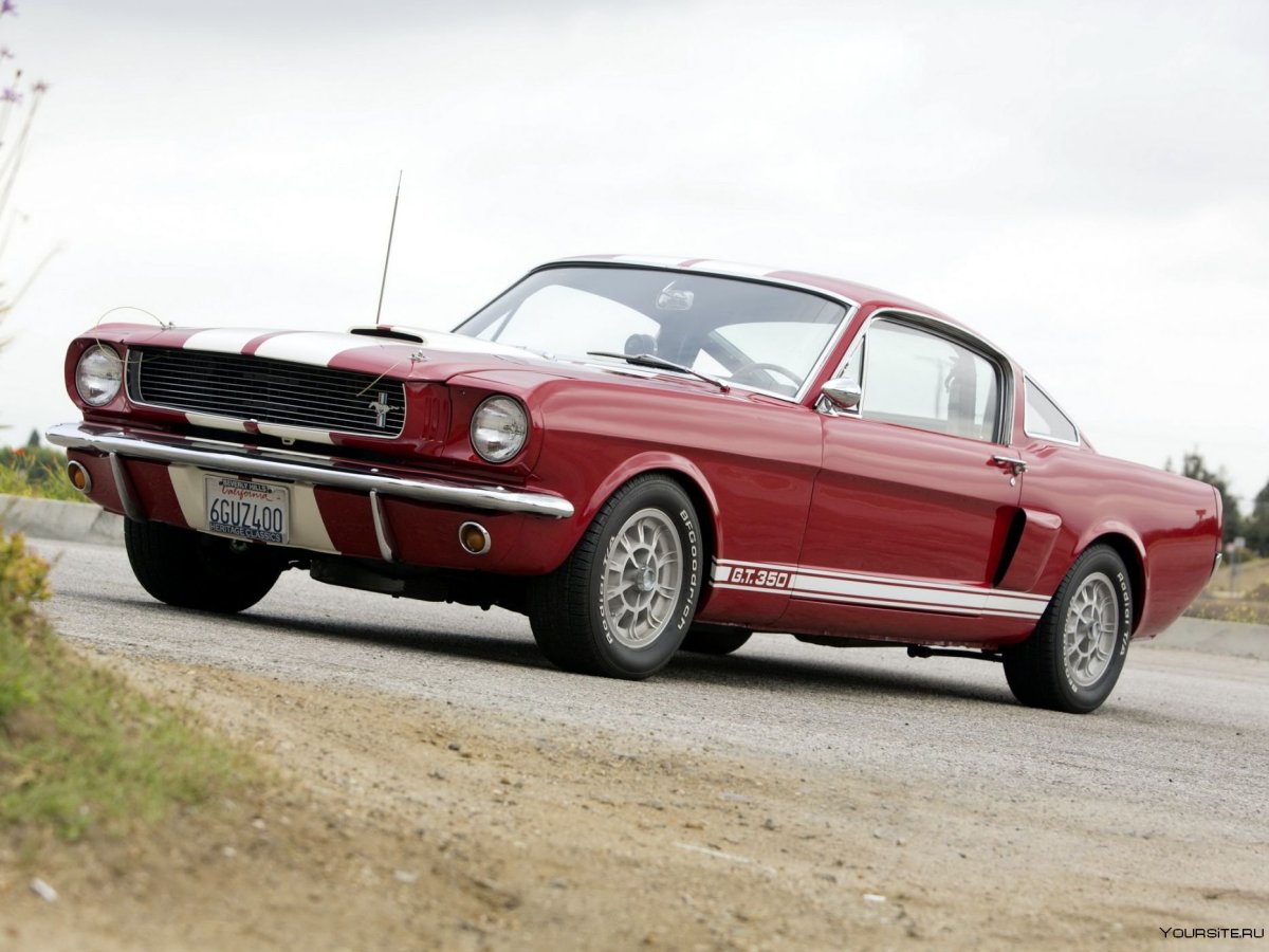 Ford Mustang Shelby 1966