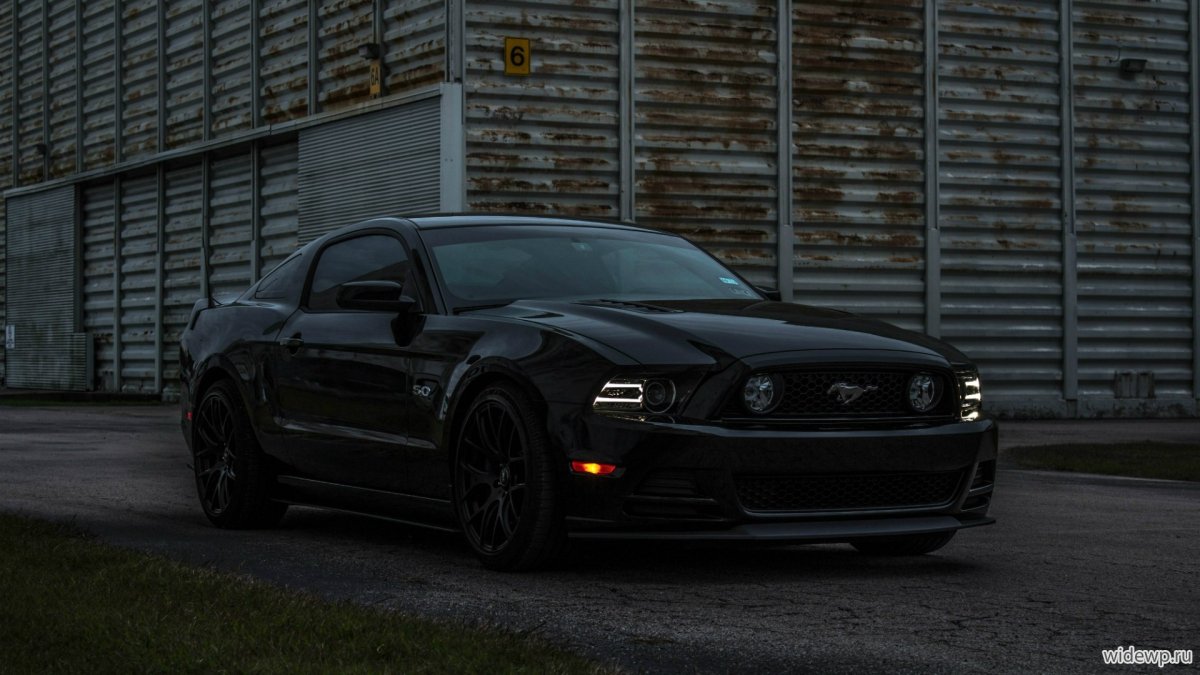 Ford Mustang gt500 5.0