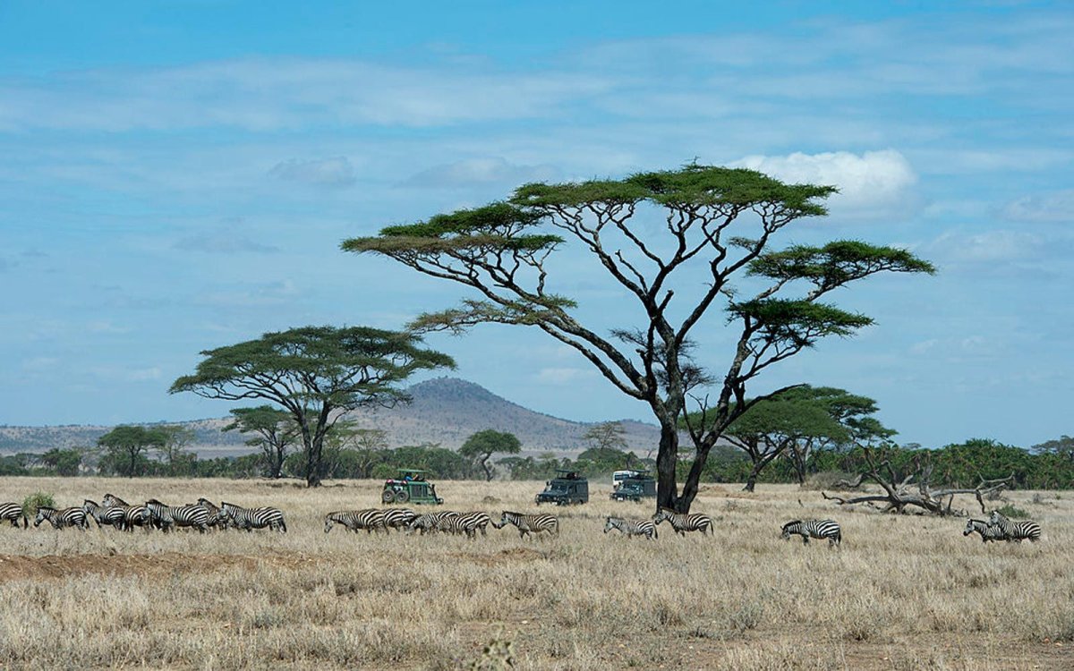 Национальный парк Оазис в Танзании