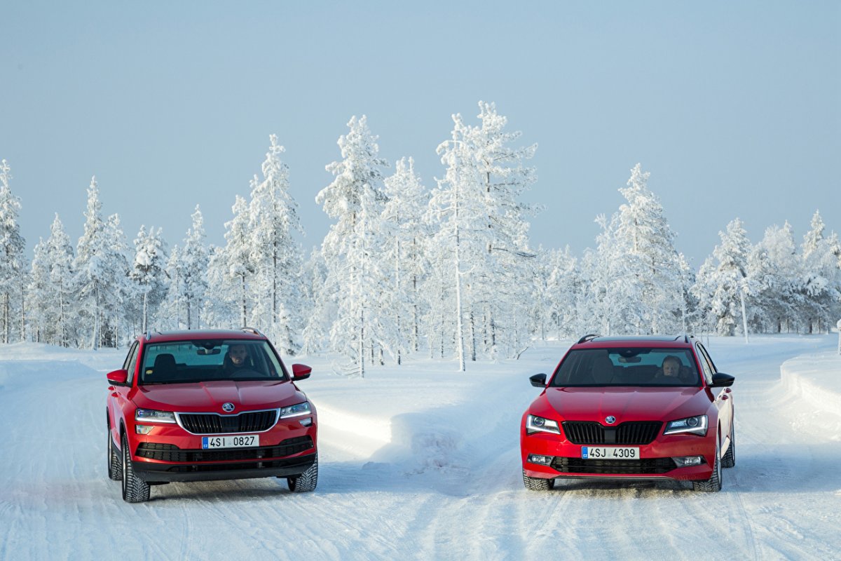 Skoda Superb Winter Forest