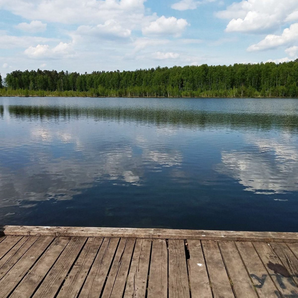 Озеро Бобошко в Балашихе