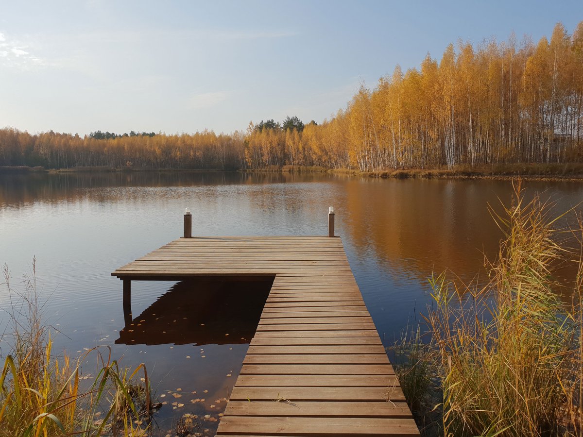 Озеро в Лесном Пушкинский район