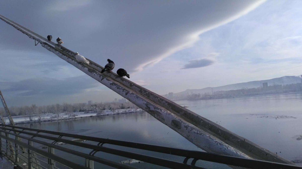 Виноградовский мост зимой