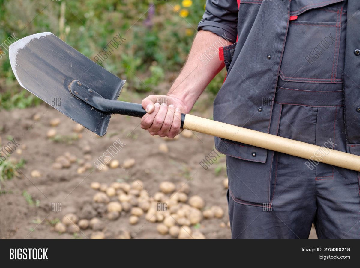 Человек держит лопату