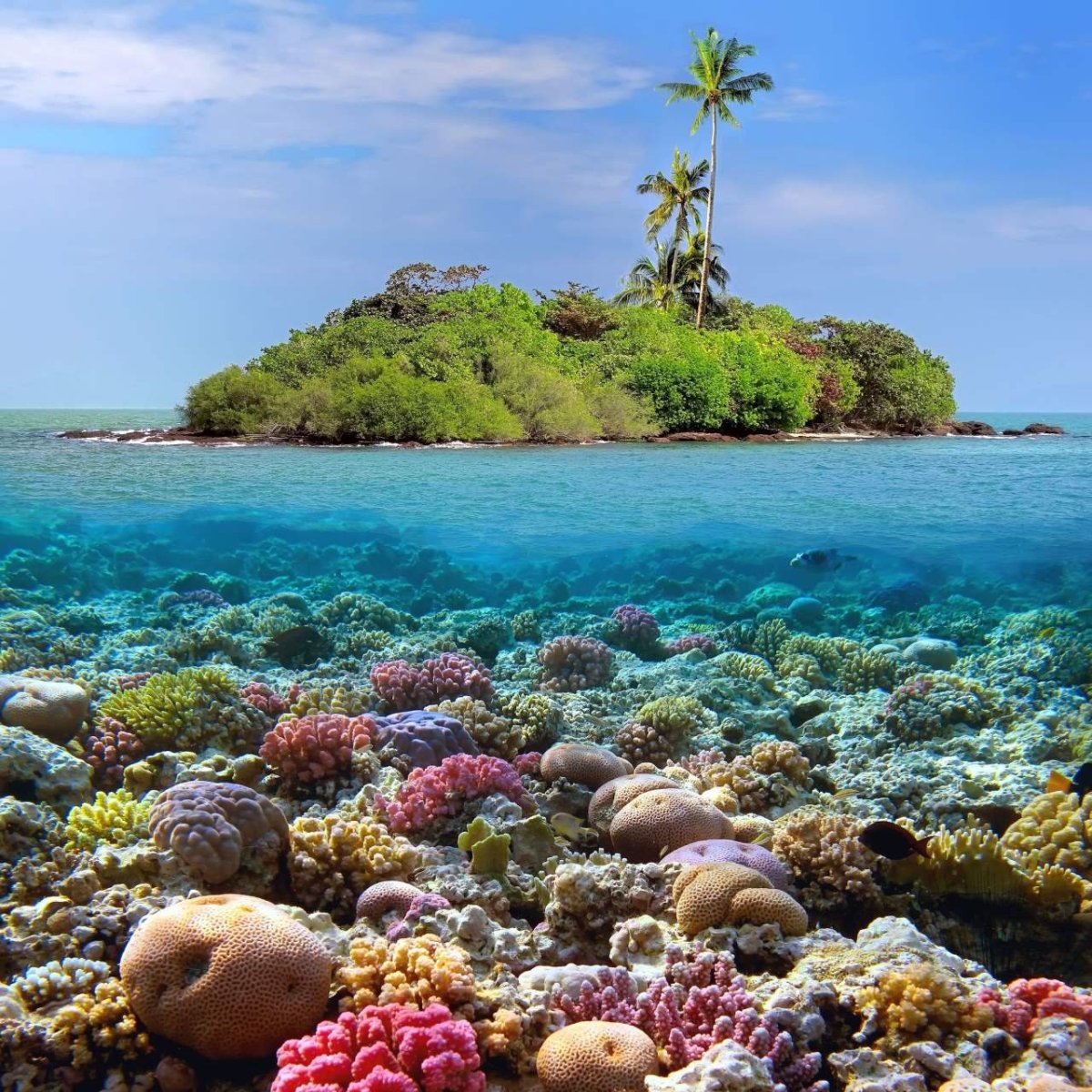 Коралловый остров Тайланд