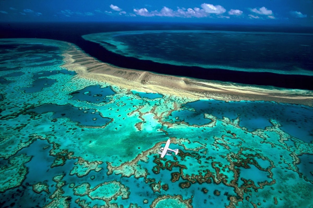 Великий Барьерный риф Австралия