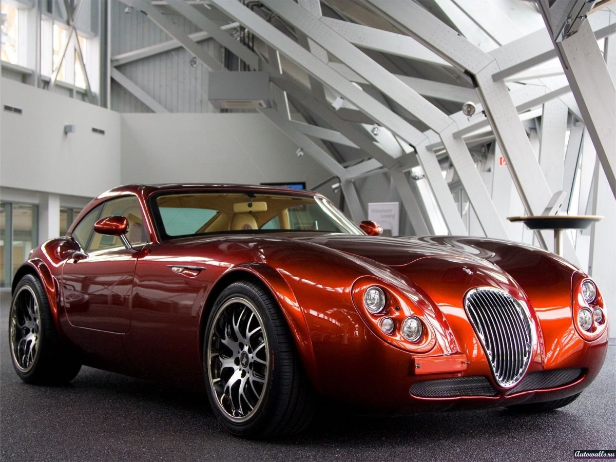 Ягуар машина Wiesmann g4