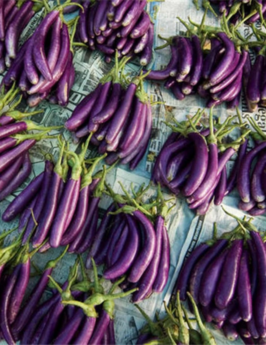 Eggplant баклажан Nord