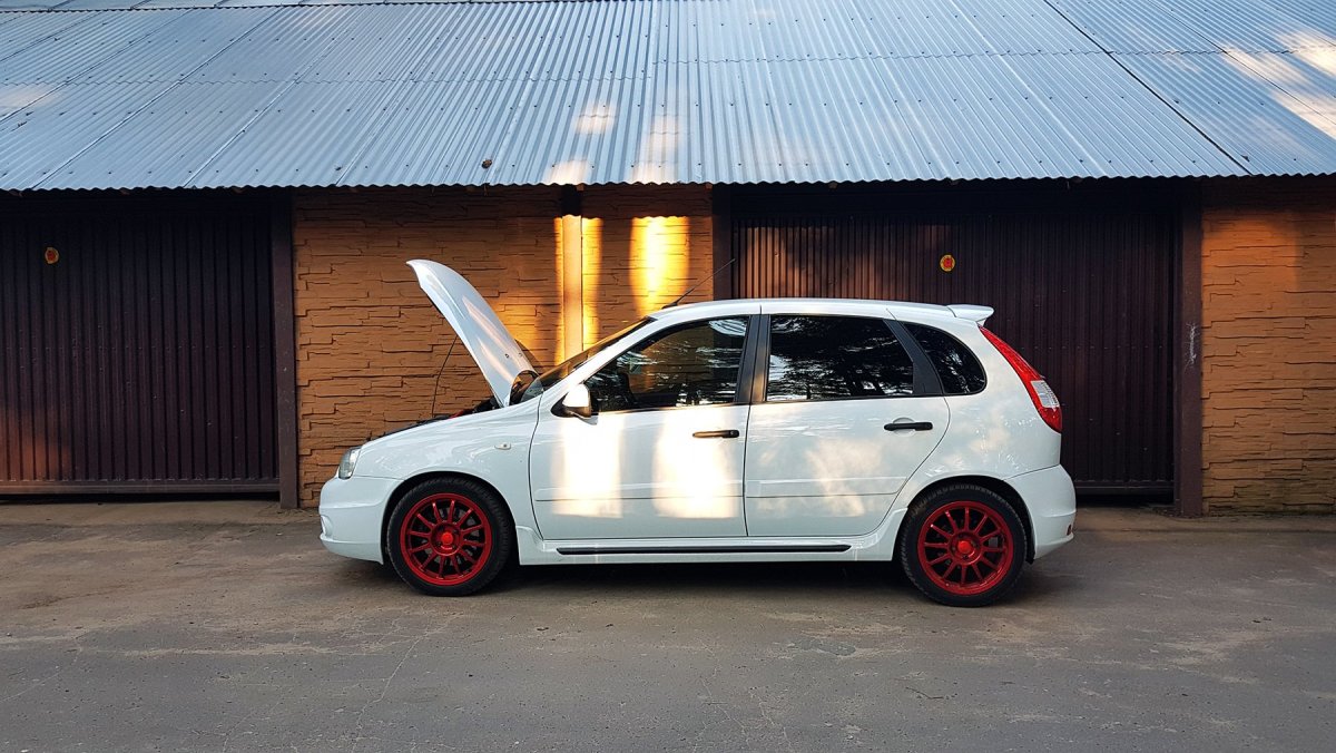 Калина спорт канжо