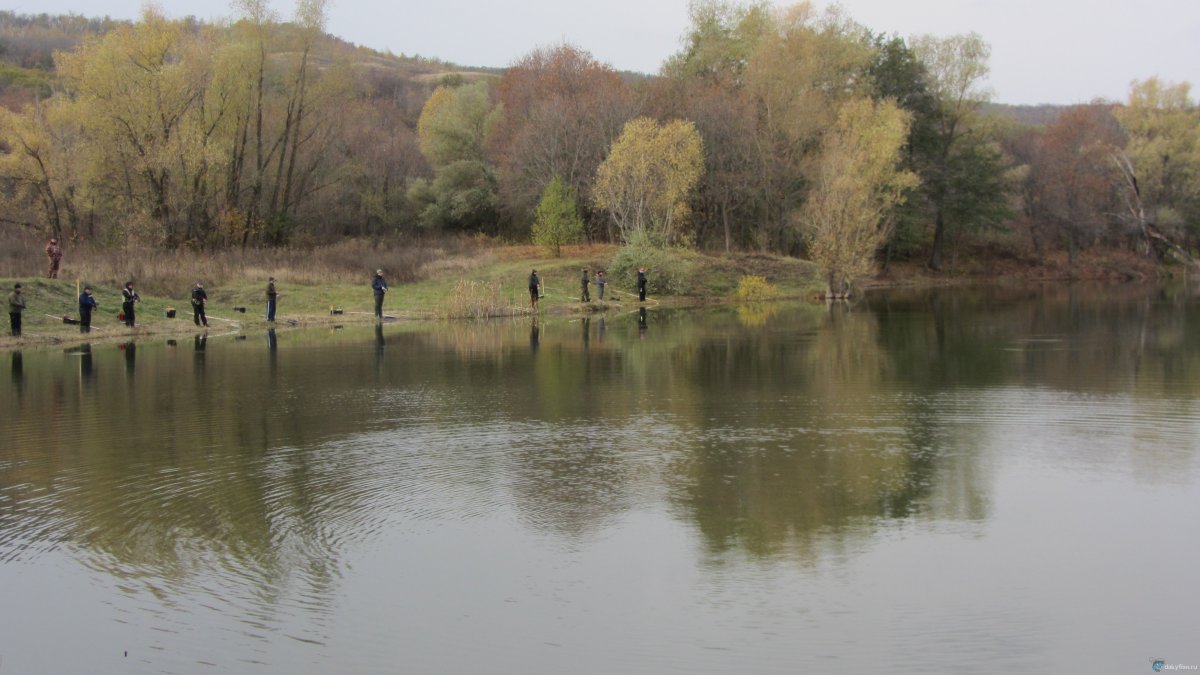 Форелевый пруд Лесное озеро широкий Буерак