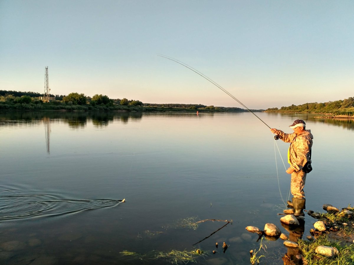 Калининградская область рыболовство