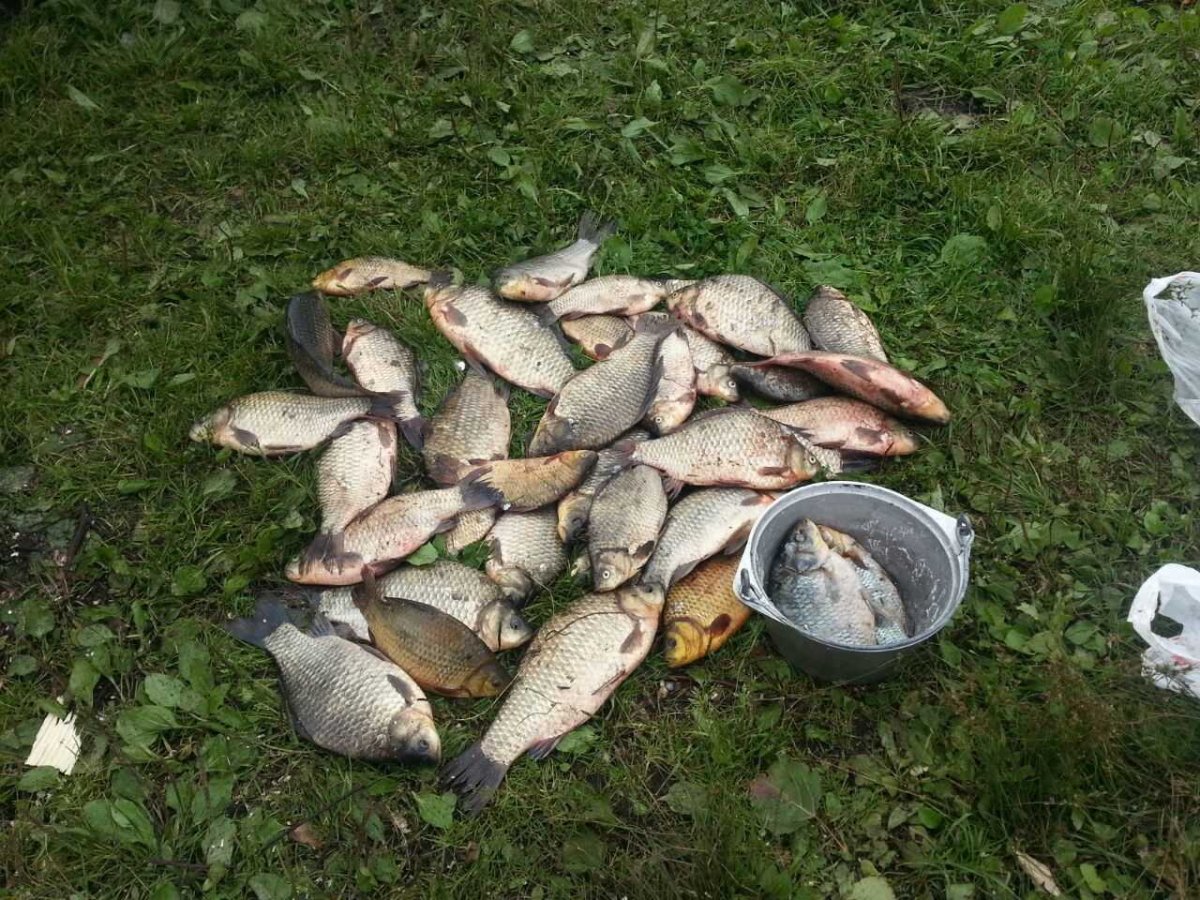Рыбалка в Ярославской области