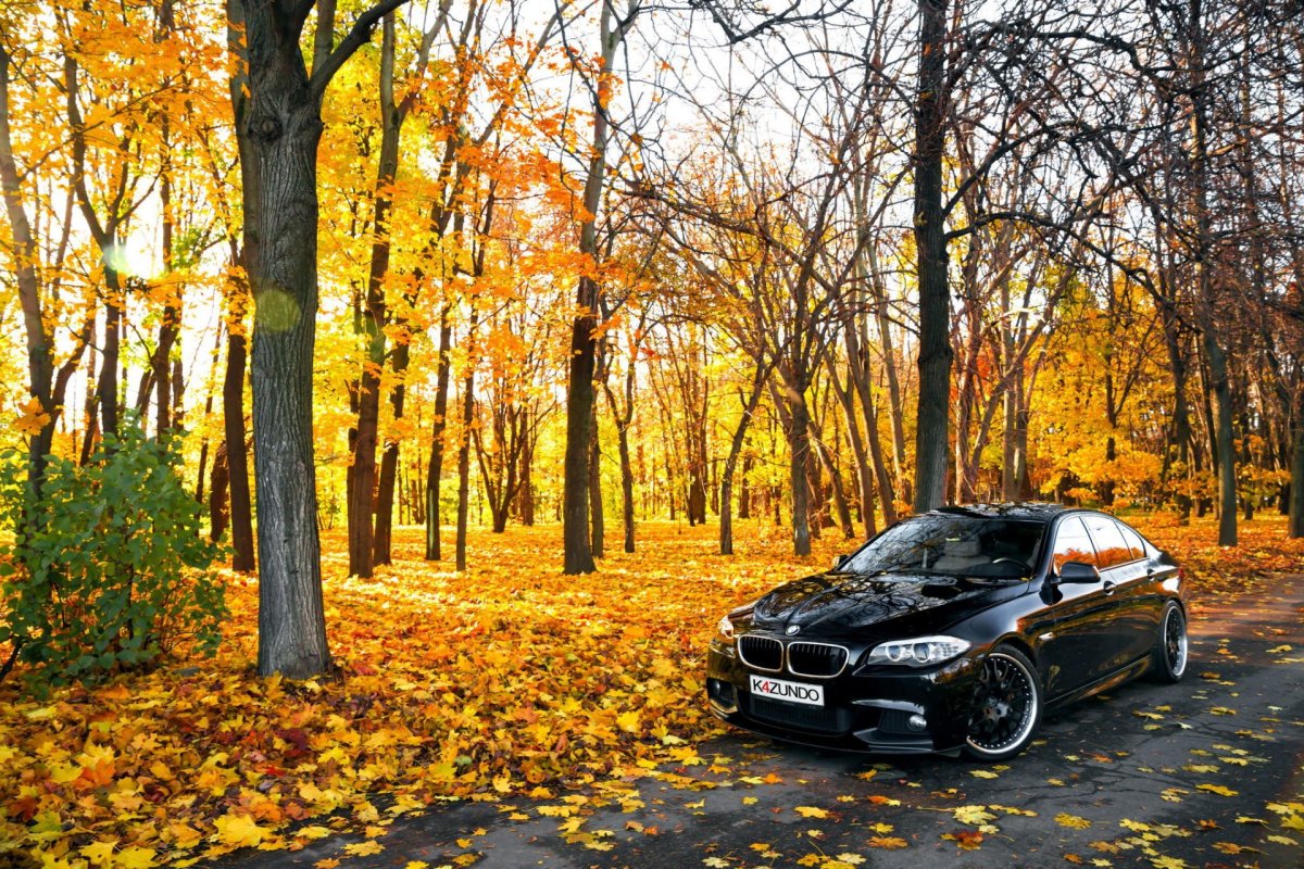 BMW f10 черный осень
