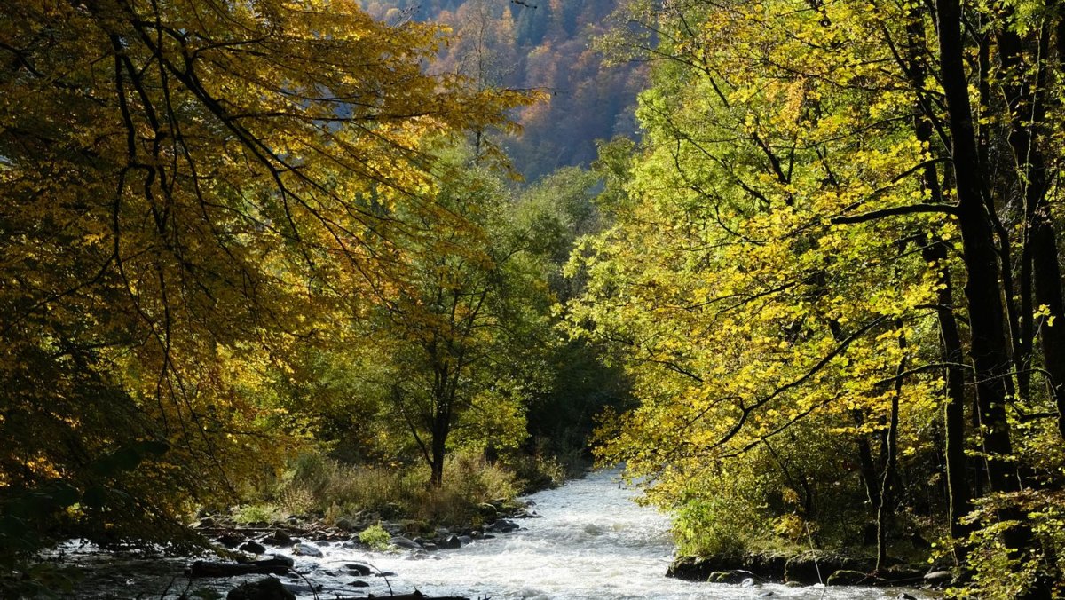 Река Кубань осенью фото