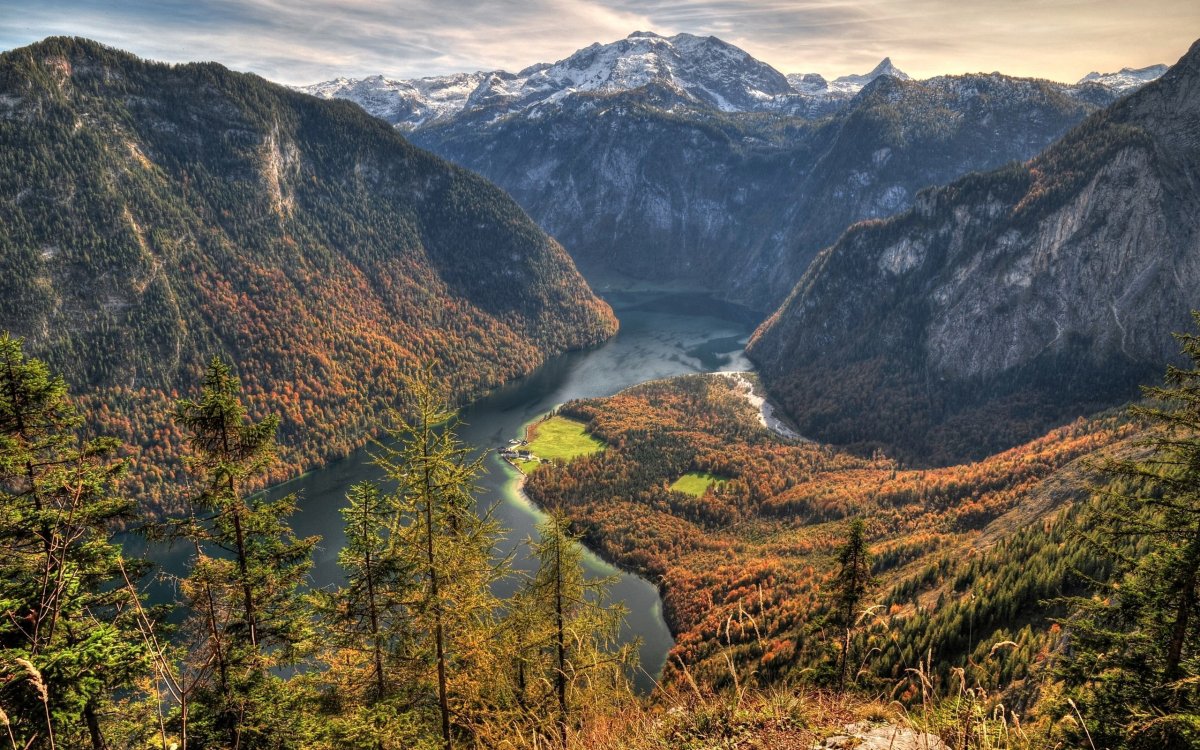 Лес бёкескуген Норвегии