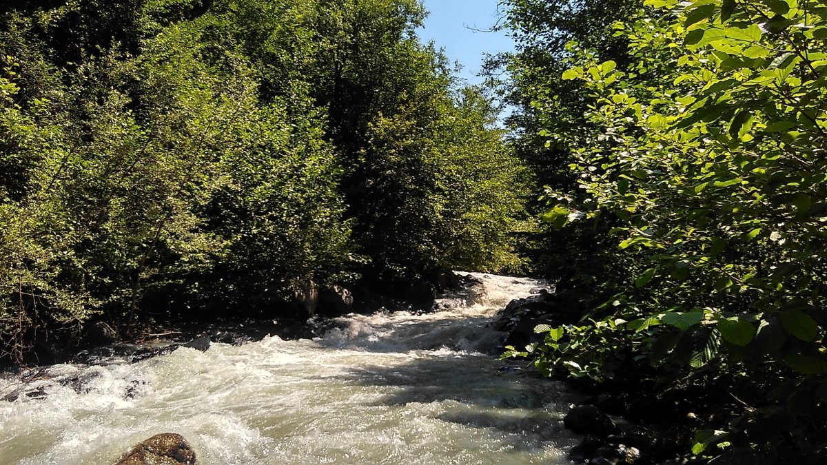 Притоки реки Пслух, Ачипсе, Кепша