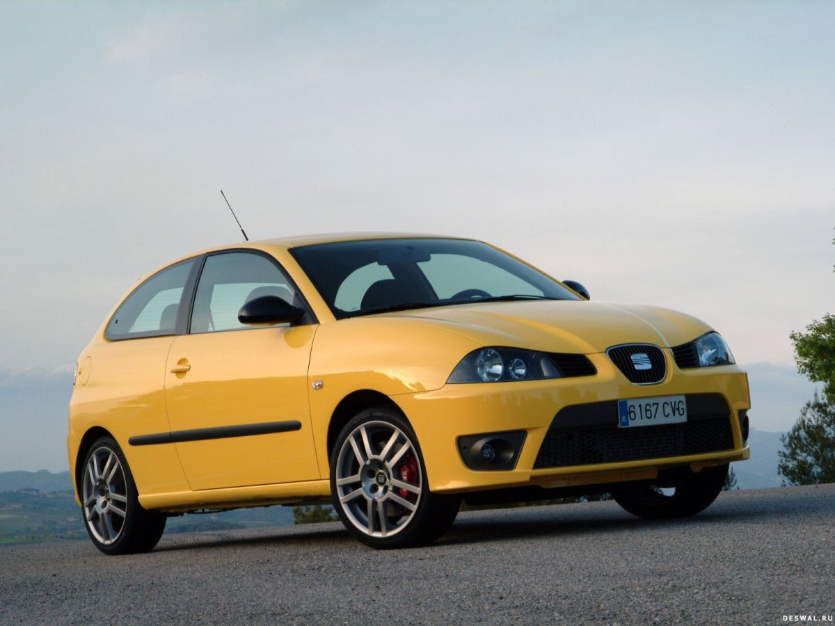 Seat Ibiza 2004 1.9 TDI Cupra