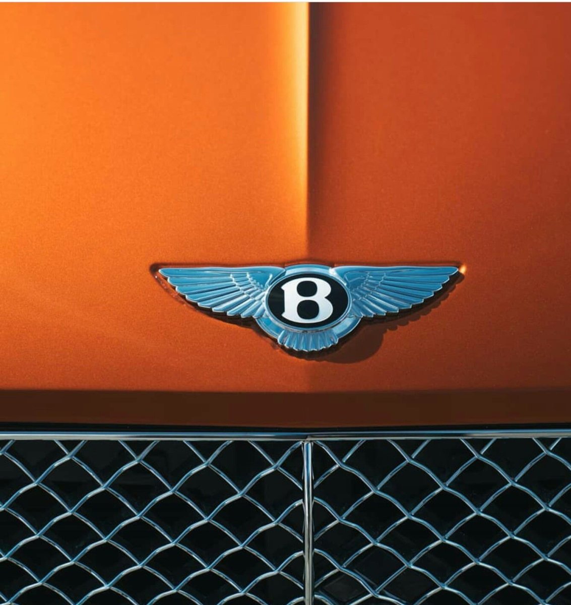Bentley Shield