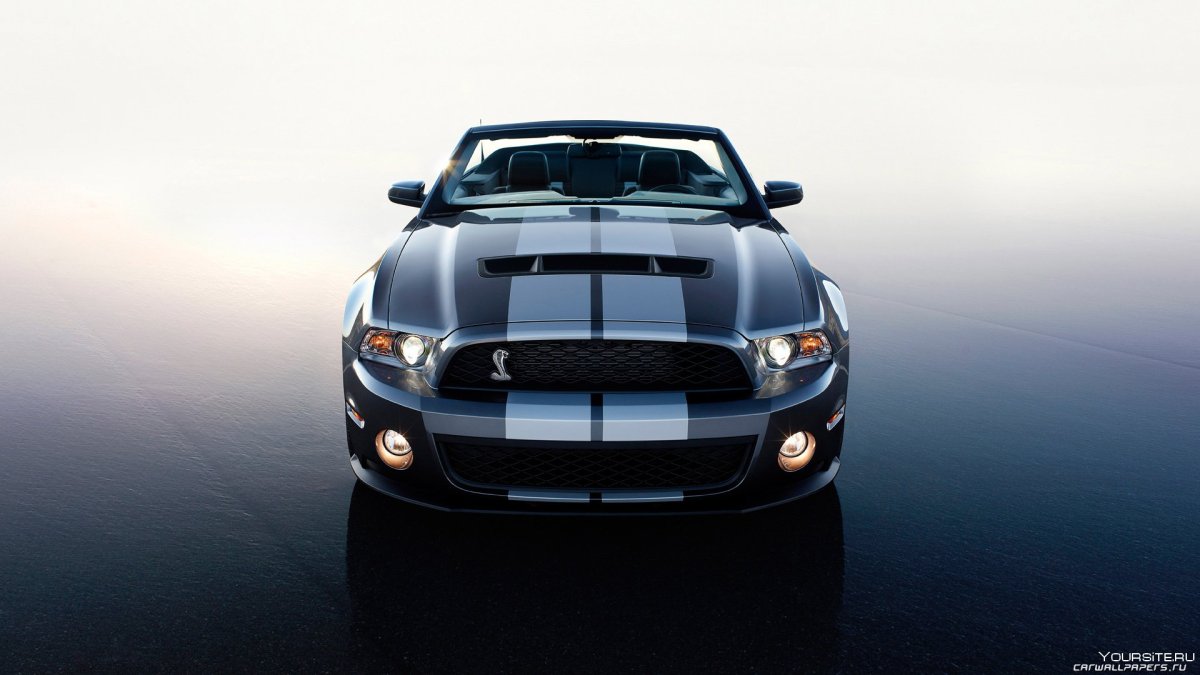 Ford Mustang Shelby gt500 2010