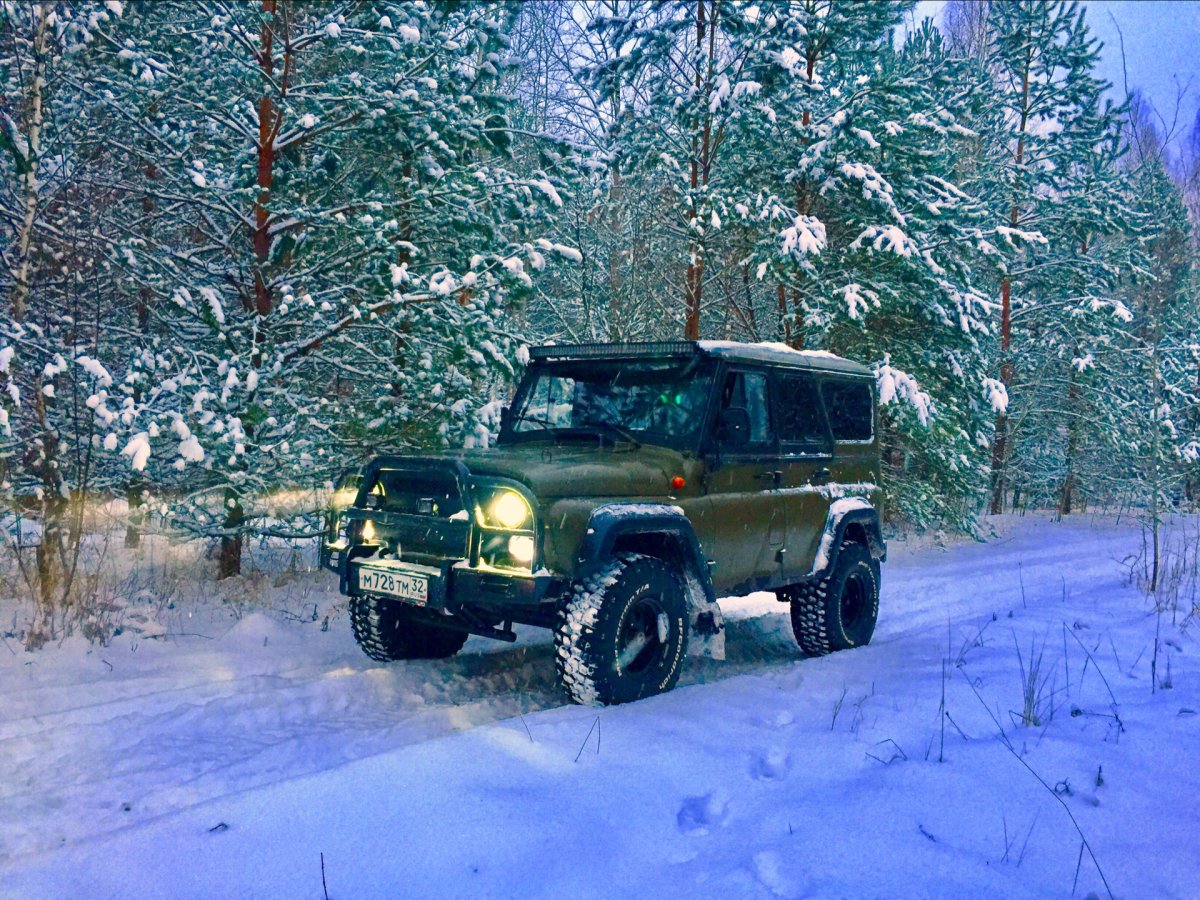 УАЗ 31514 С лесом