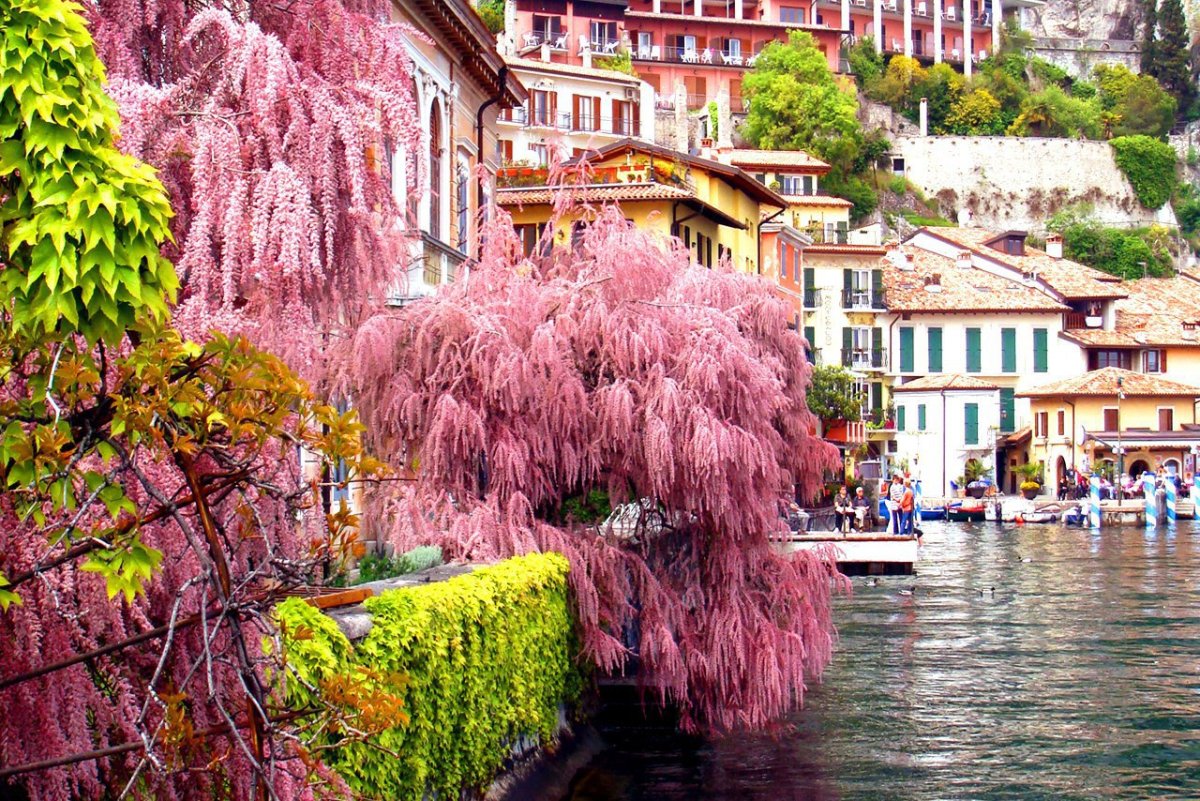 Озеро Гарда Весна в Италии