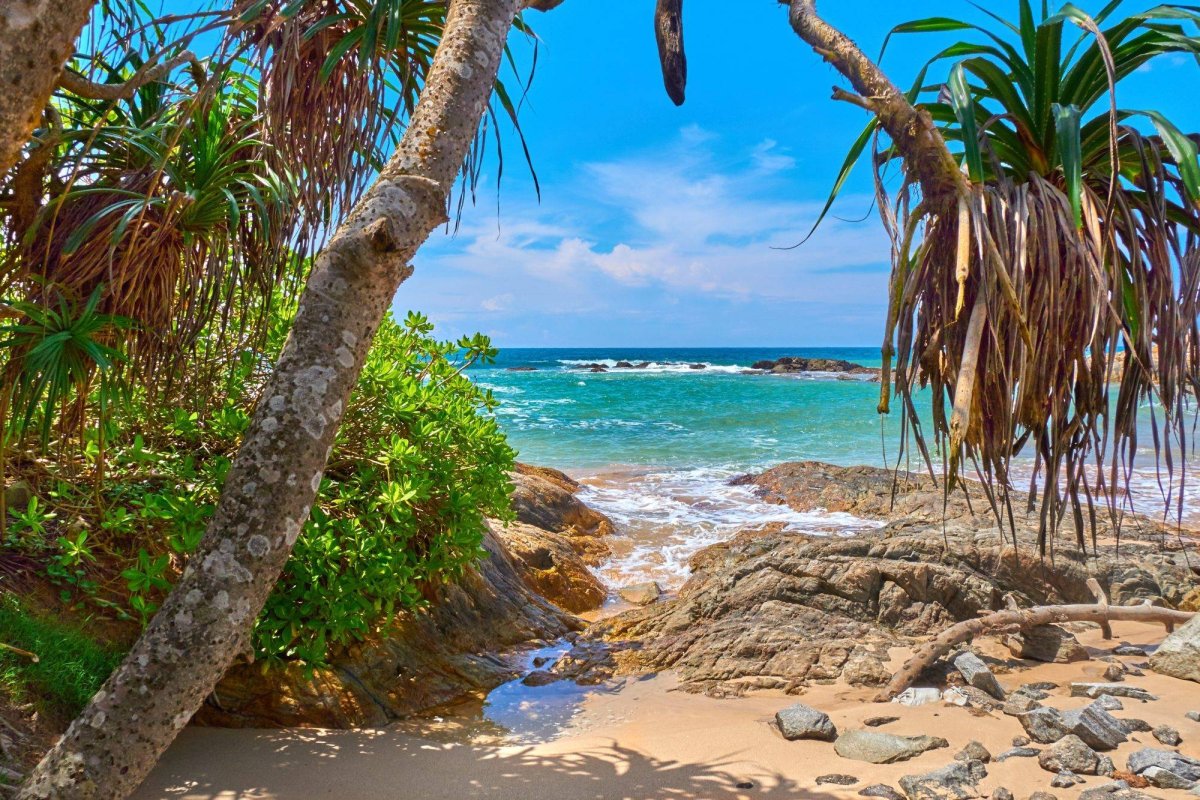 Шри Ланка пляж тальпа