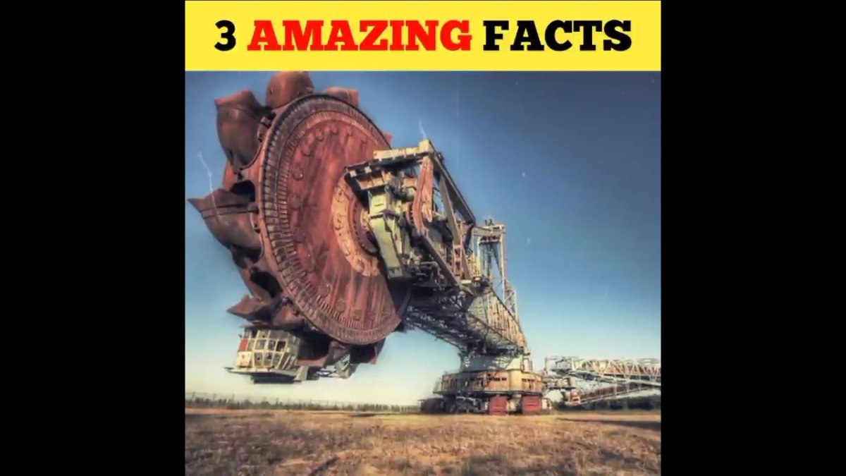 Экскаватор Bagger 288