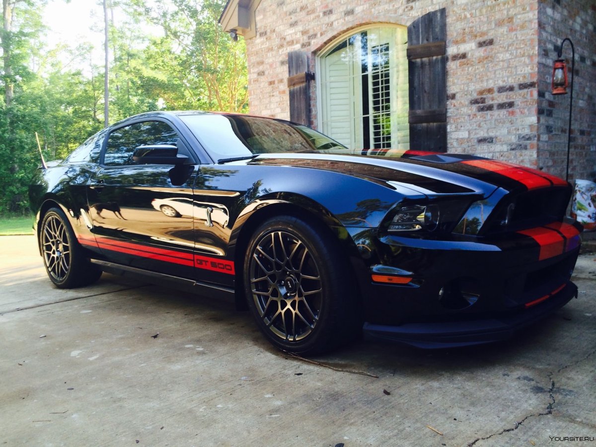 Mustang gt500 Shelby 2014