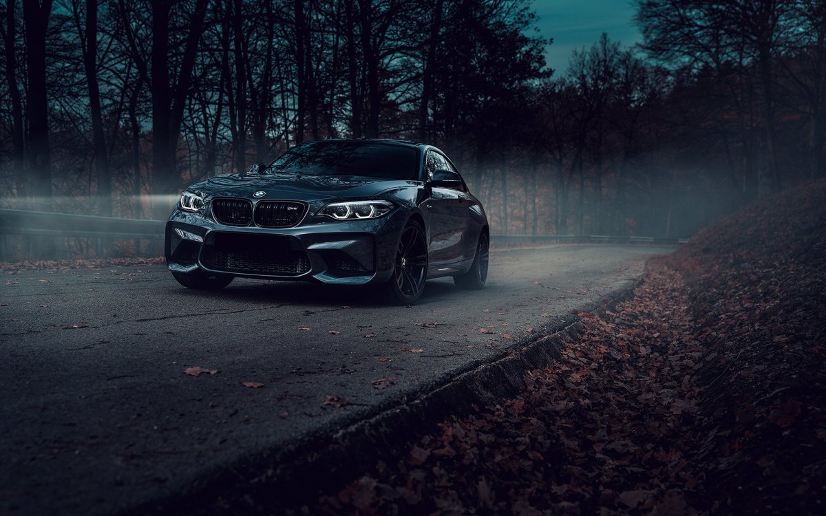 BMW f82 машина в лесу