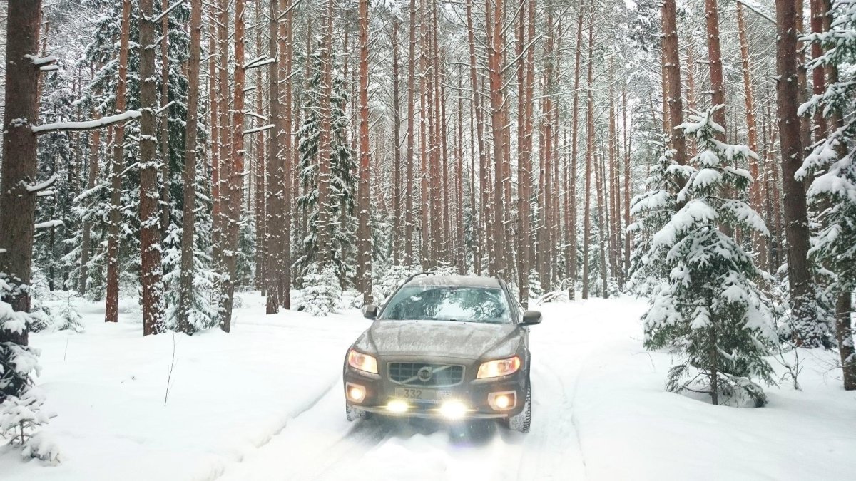 Volvo xc70 II на России в лесу