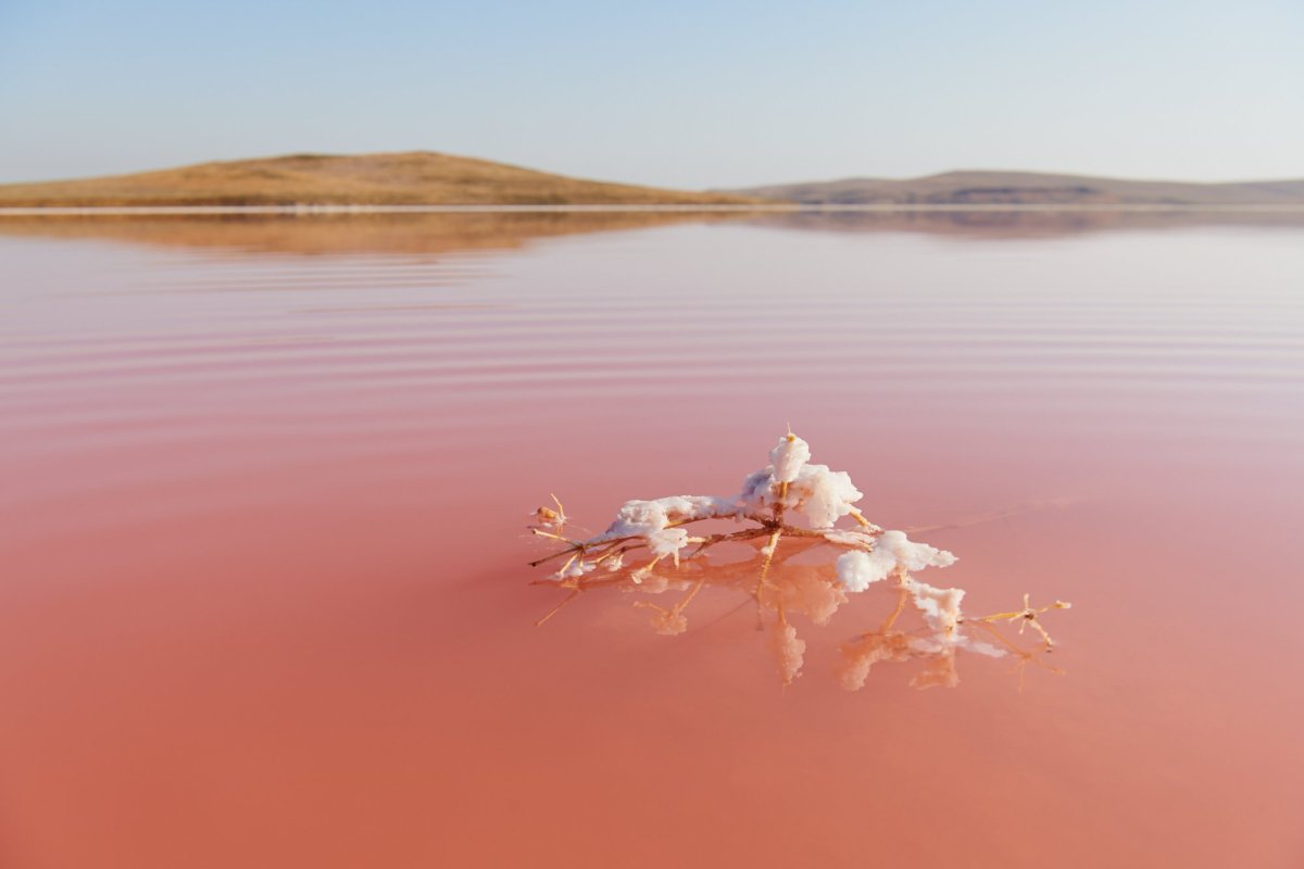 Розовое озеро Светлоград