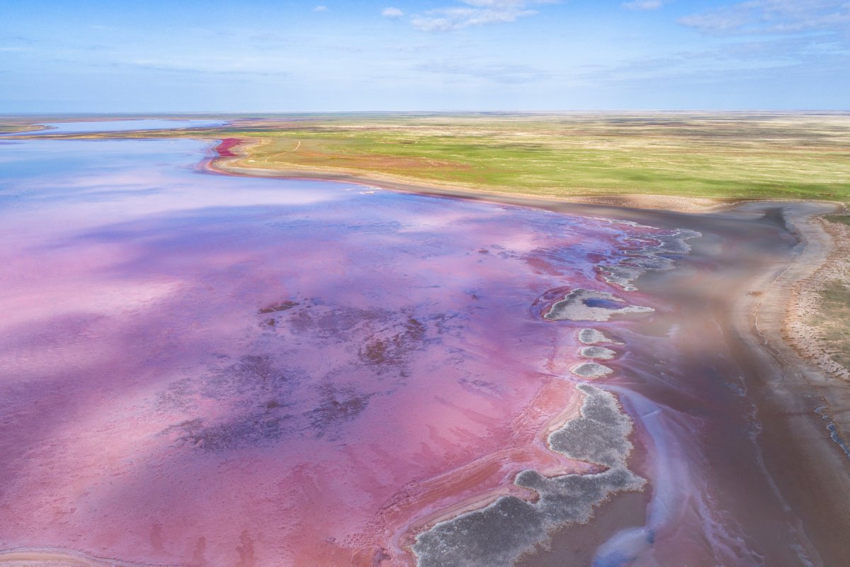 Астраханская область: розовое озеро
