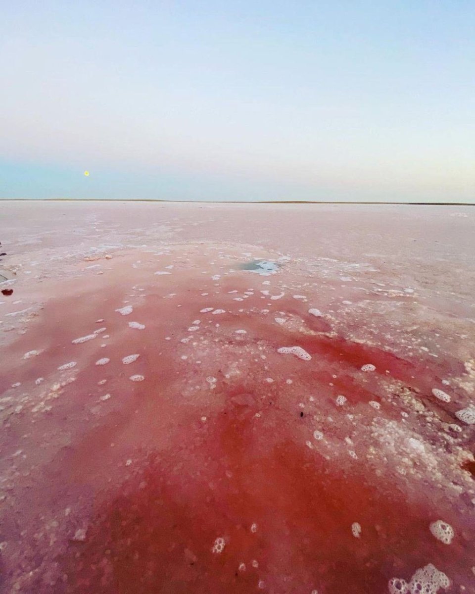 Розовое озеро в Калмыкии Адык